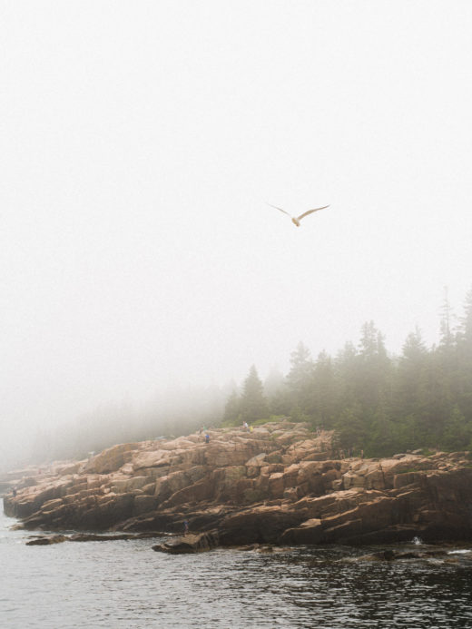 Scott-Group-Studio-Rugs-Blog-Studio-Illustrations-Coastal-Mist-inspiration-image-rocky-shore-fog