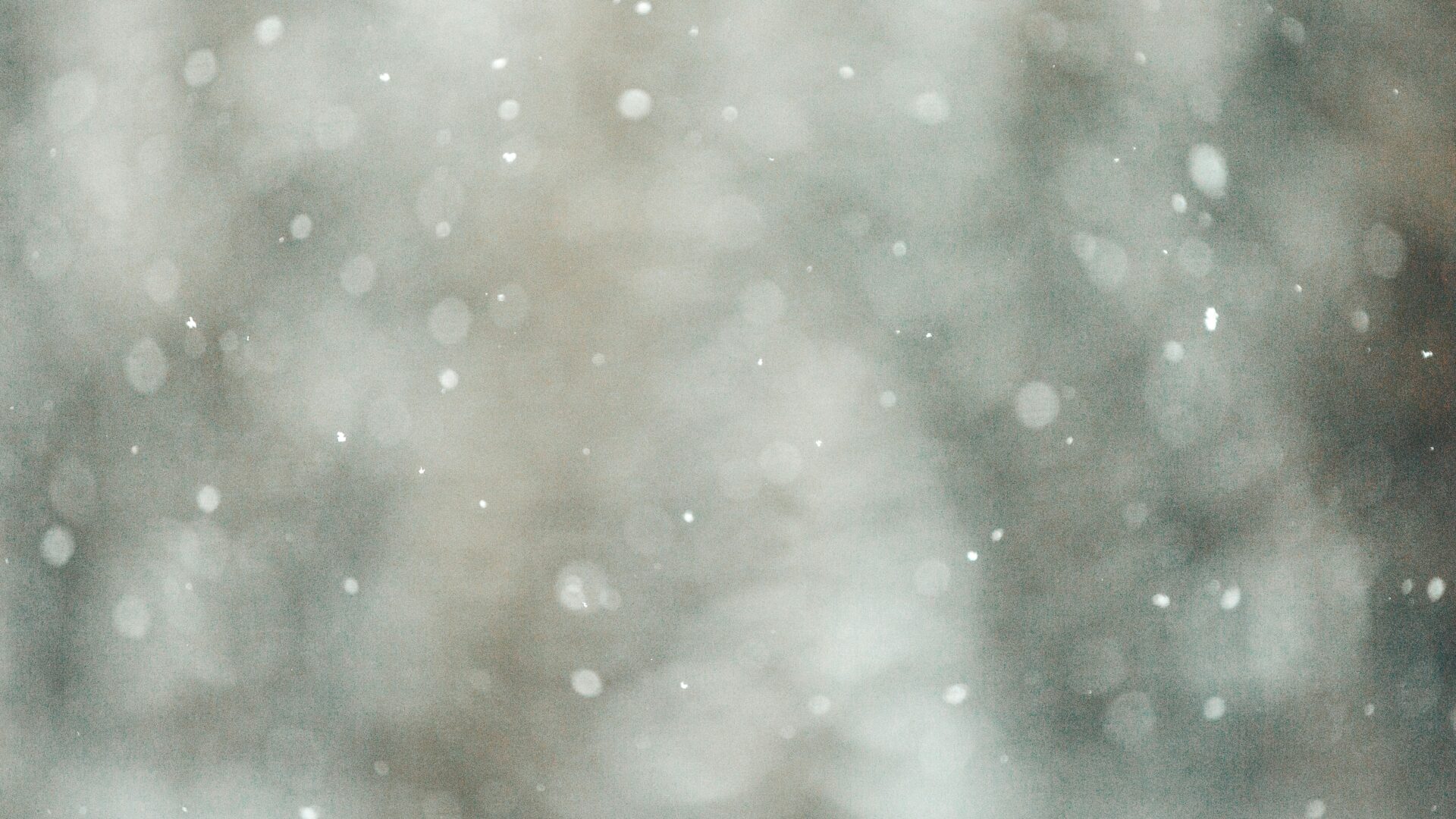 Snow falling down on a winter day