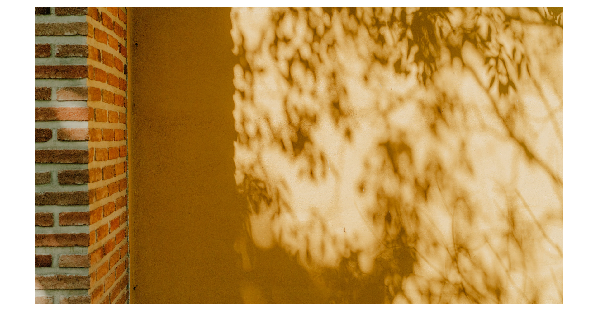 Gold shadow photo