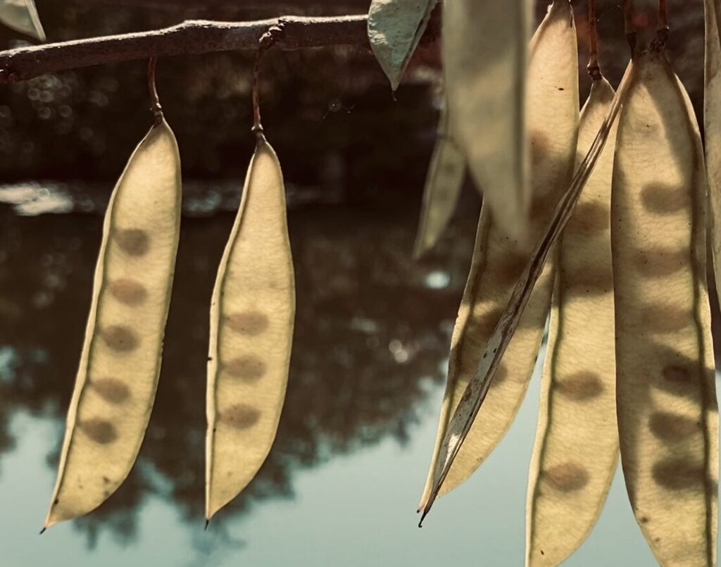 Blog home page image