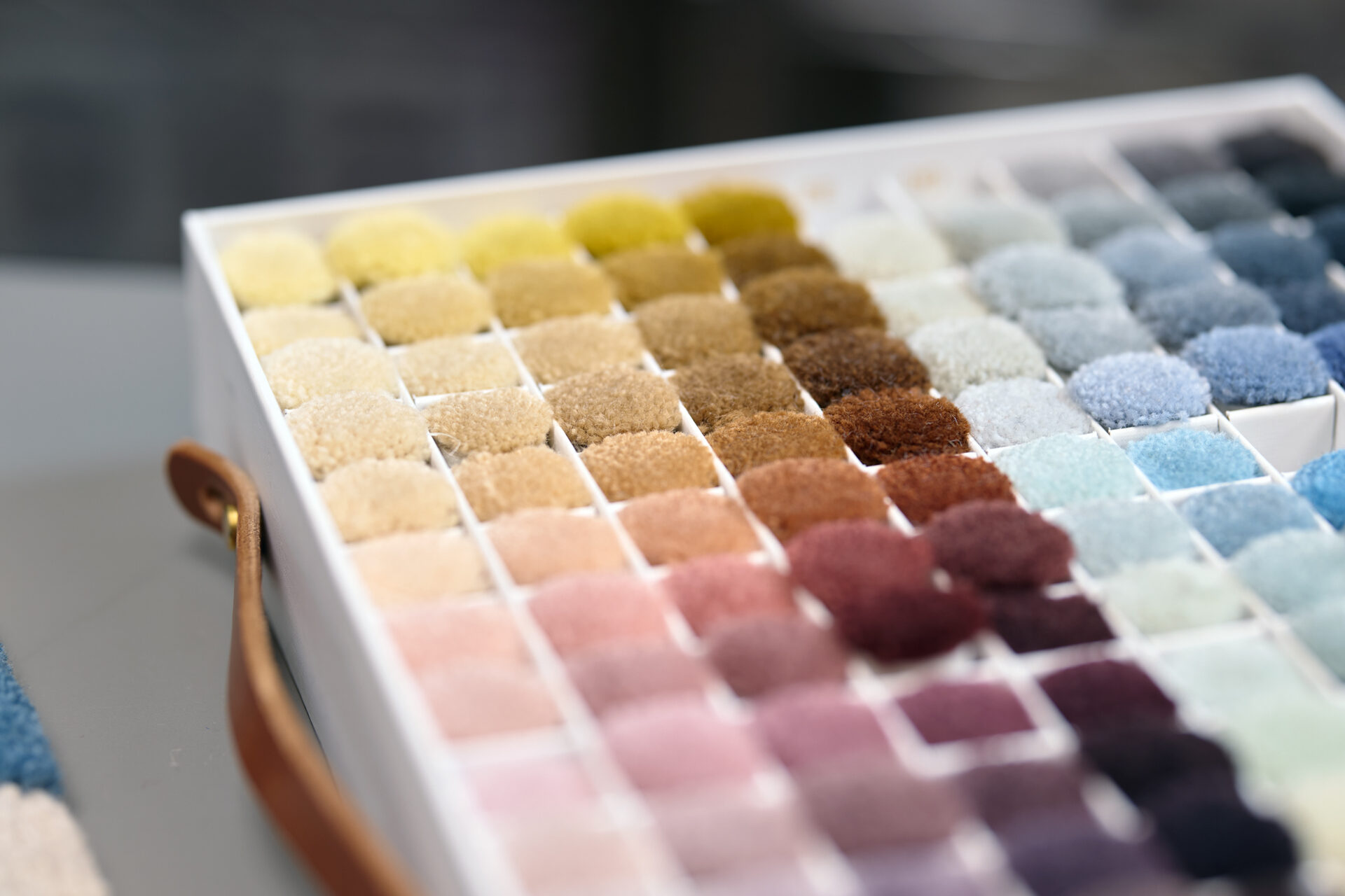 SGS2025 BrandPhoto web res