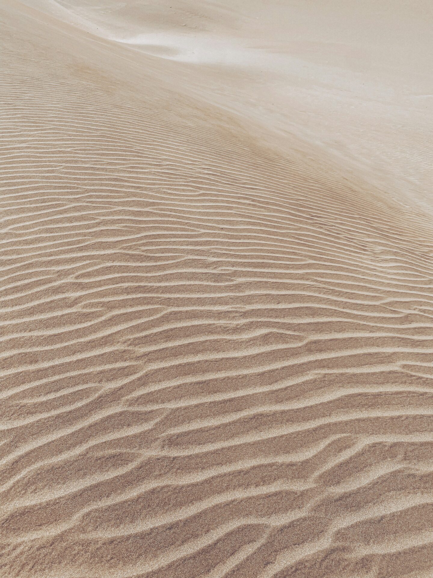 Victor rosario 8YkqfzG5h0I unsplash